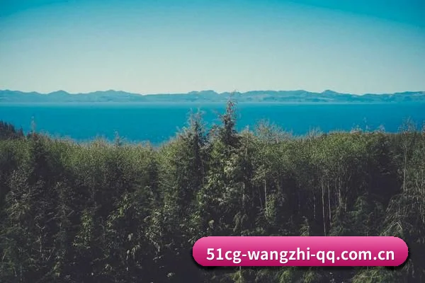 大数据脱水